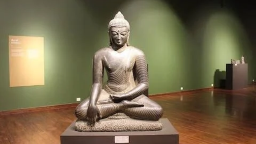 patna museum ticket price